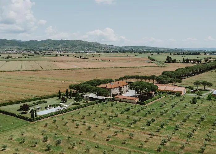 Terra Di Cortona