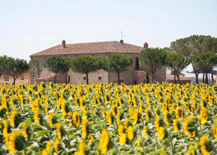 Terra Di Cortona