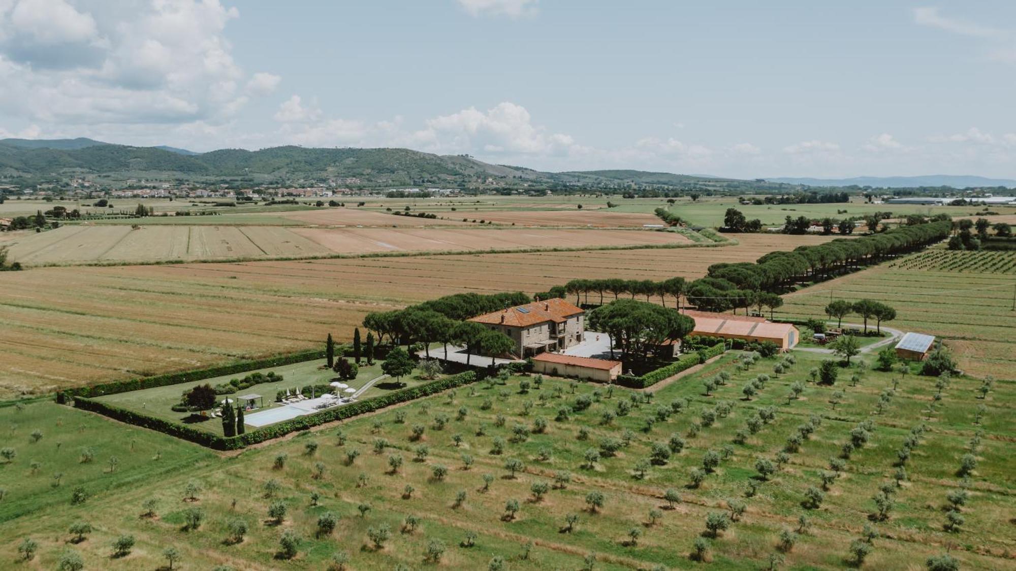Terra Di * Cortona