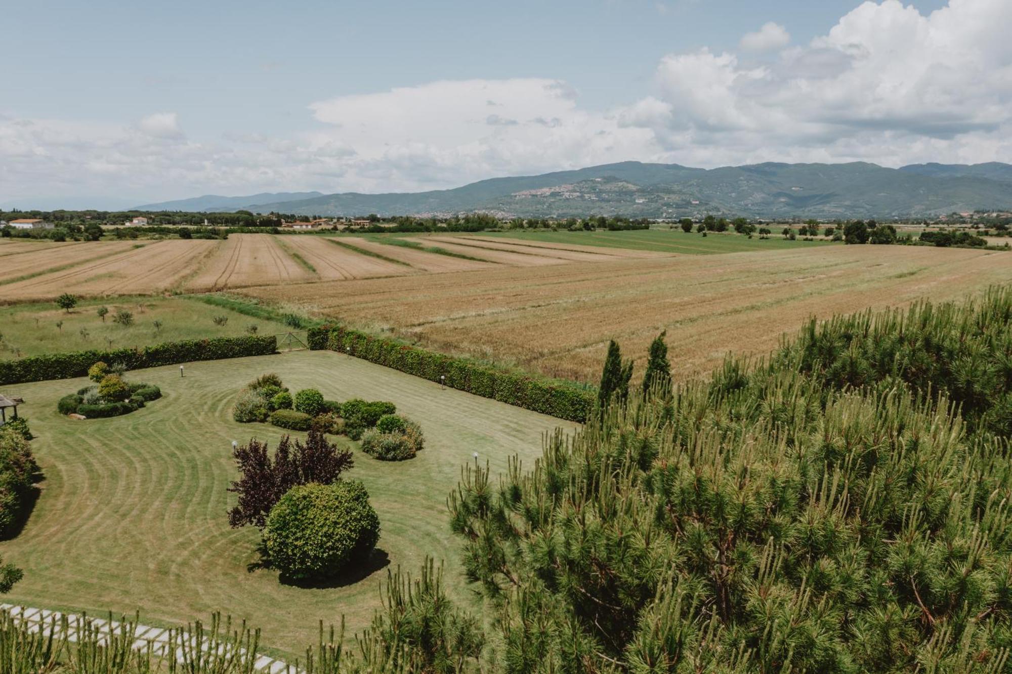 Terra Di *