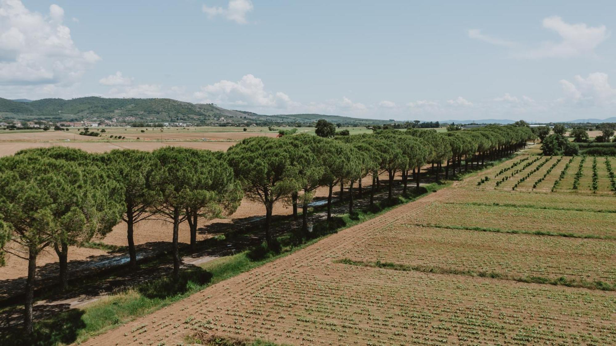 Farm stay Terra Di