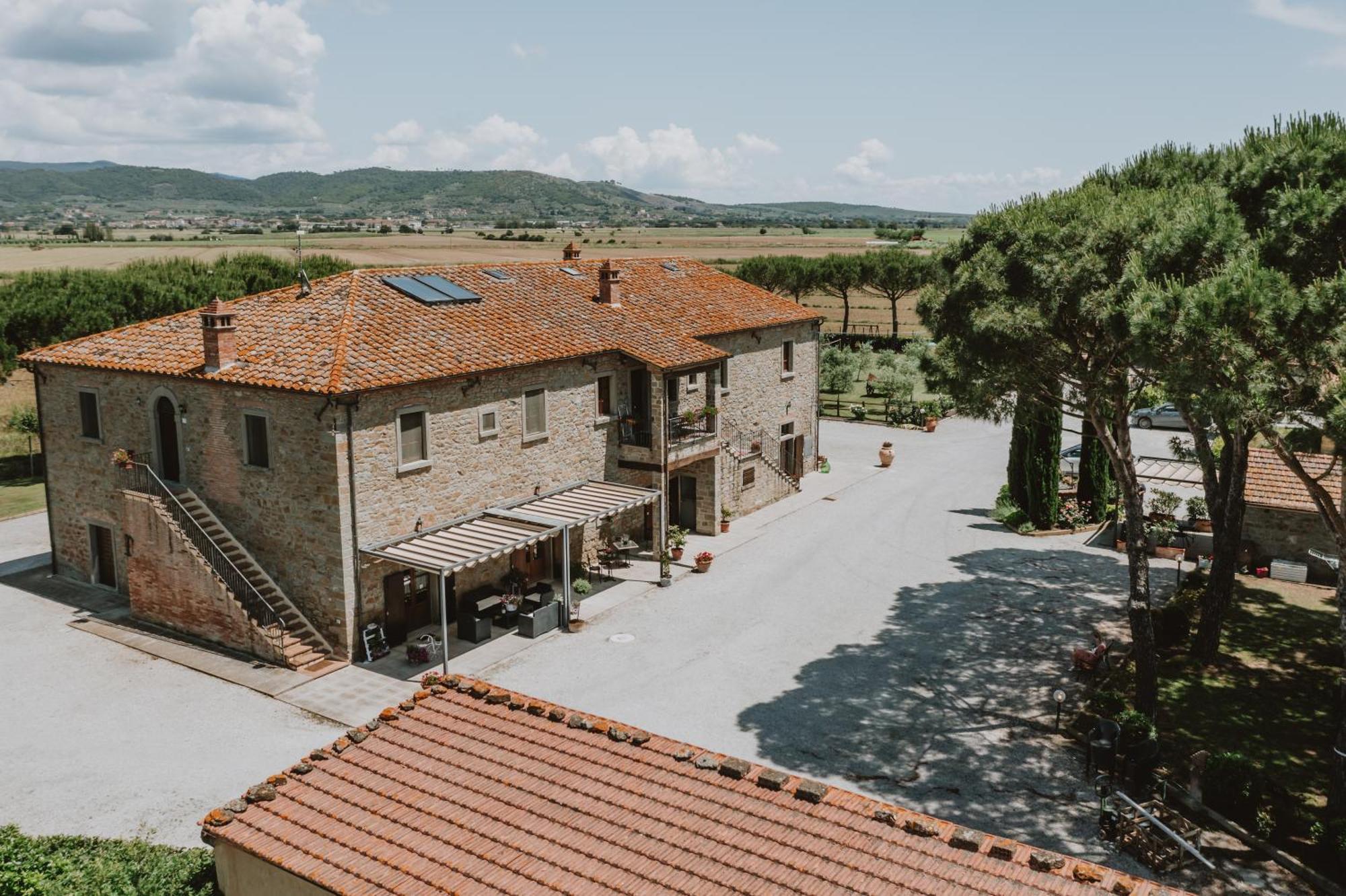 Terra Di Cortona