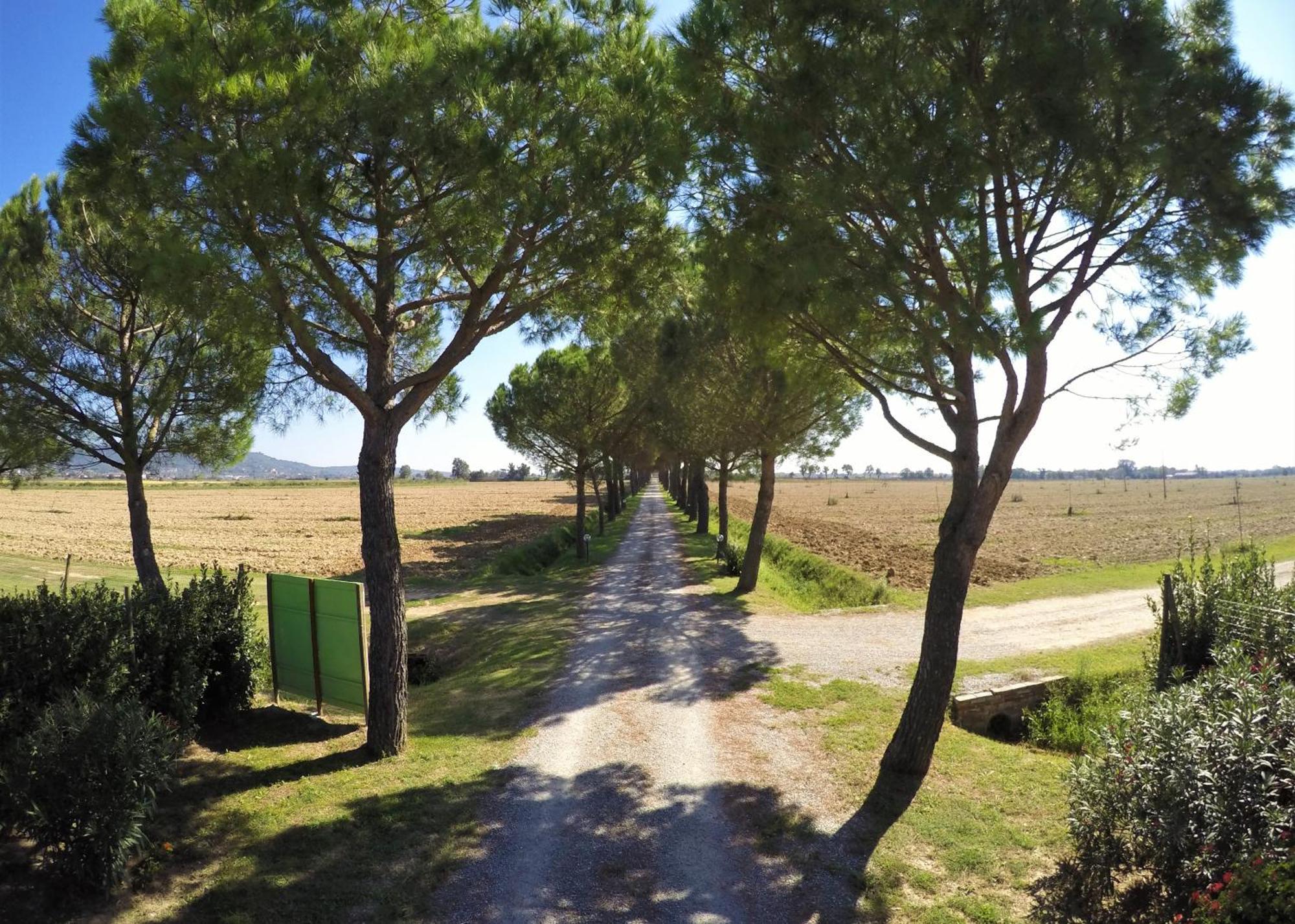 Farm stay Terra Di Cortona