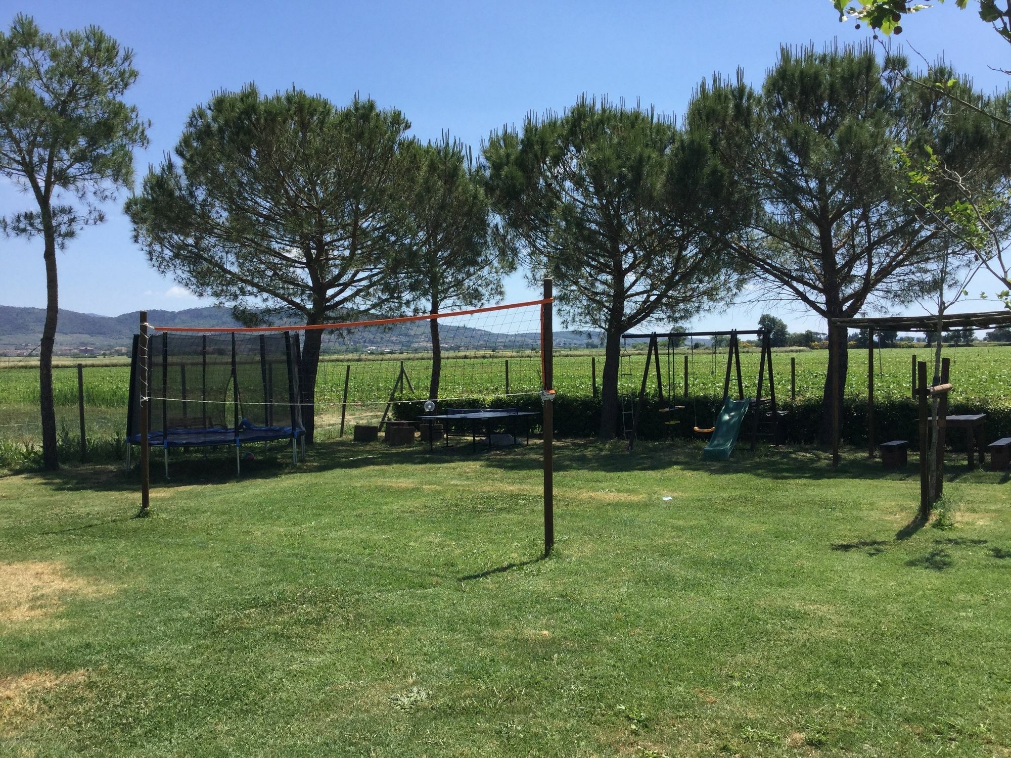 Terra Di Cortona